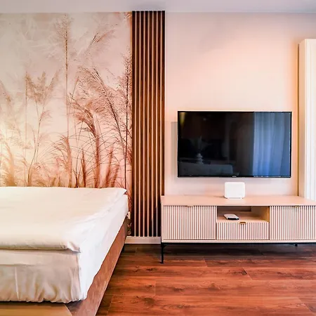公寓 Citystay Scala Srodmiescie Z Uroczym Ogrodkiem 格但斯克